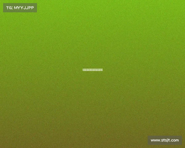 《决胜时刻：我的电竞征途》